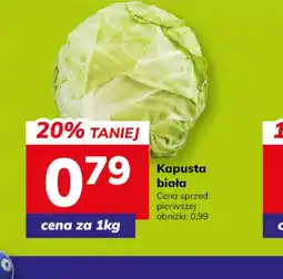 Hitpol Kapusta biała oferta