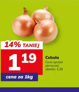 Hitpol Cebula oferta