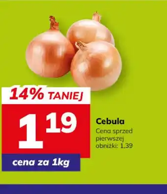 Hitpol Cebula oferta