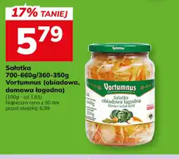 Hitpol Sałatka Vortumnus oferta