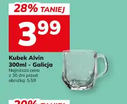 Hitpol Kubek Alvin Galicja oferta
