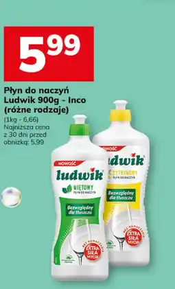 Hitpol Ludwik Płyn do naczyń oferta