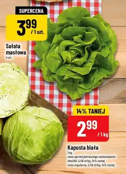 Polomarket Kapusta biała oferta