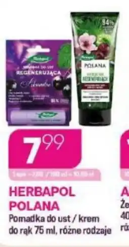 Koliber drogerie Herbapol Polana pomadka/krem oferta