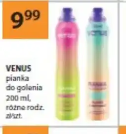 Drogerie Laboo Venus pianka do golenia oferta