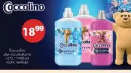Drogerie Laboo Coccolino płyn do płukania oferta