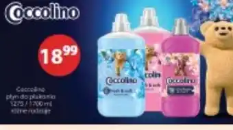 Coccolino płyn do płukania