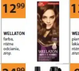 Drogerie Laboo Wellaton farba oferta