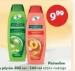 Drogerie Laboo Palmolive szampon oferta