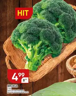 Chata Polska Brokuł oferta