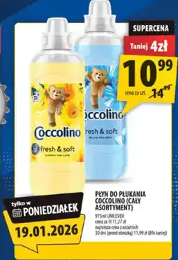 Arhelan Coccolino płyn do płukania oferta