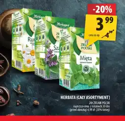 Arhelan Herbapol Herbata Zielnik Polski oferta