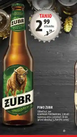 Arhelan Piwo Zubr oferta