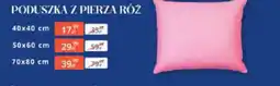 Arhelan Poduszka z pierza róż oferta