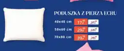 Arhelan Poduszka z pierza Ecru oferta