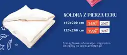 Arhelan Kołdra z pierza Ecru oferta