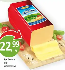 Passa Ser Gouda Włoszczowa oferta