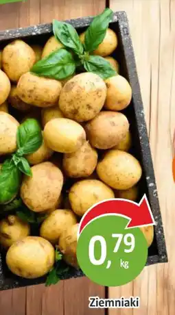 Passa Ziemniaki oferta