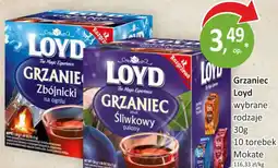 Passa Loyd Grzaniec oferta