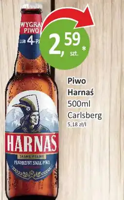 Passa Piwo Harnaś oferta