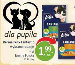 Passa Karma Felix Fantastic oferta