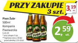 Passa Piwo Zubr oferta