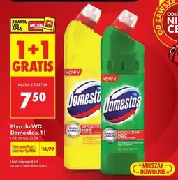 Biedronka Płyn do WC Domestos 1 l oferta