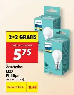 Biedronka Żarówka LED Phillips oferta