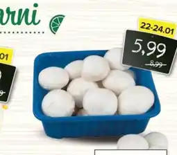 Spiżarnia Smakosza Pieczarki oferta