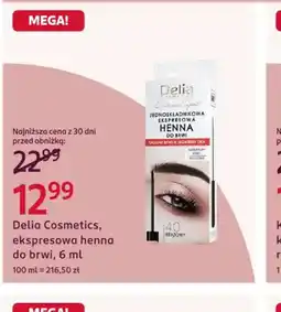 Rossmann Delia Cosmetics ekspresowa henna do brwi oferta