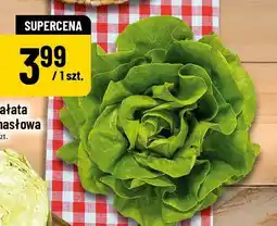 Polomarket Sałata masłowa oferta
