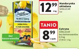Intermarche Cytryna Sanlucar bez konserwantów oferta