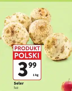 Intermarche Seler luz oferta