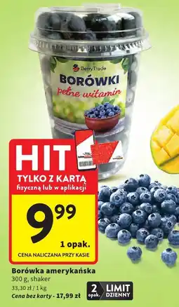 Intermarche Borówka amerykańska Berry Trade oferta