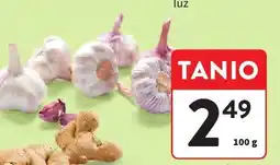 Intermarche Czosnek luz oferta