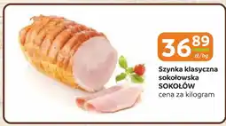 Gama Szynka Sokołów oferta