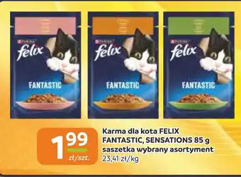 Gama Karma dla kota Felix oferta