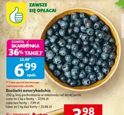 Auchan Borówki amerykańskie oferta