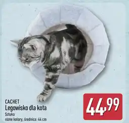 ALDI Legowisko dla kota Cachet oferta
