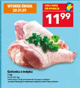 Lewiatan Golonka N&D oferta