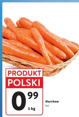 Intermarche Marchew luz oferta