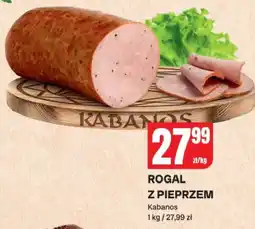 Chorten Passata klasyczna Dawtona oferta