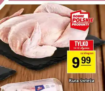 Gram Market Kura świeża oferta