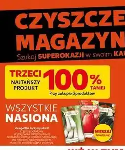 Kaufland Wszystkie nasiona oferta
