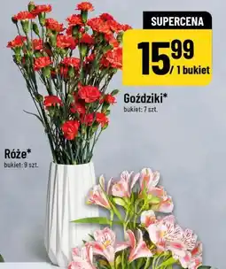 Polomarket Goździki (bukiet 7 szt.) oferta