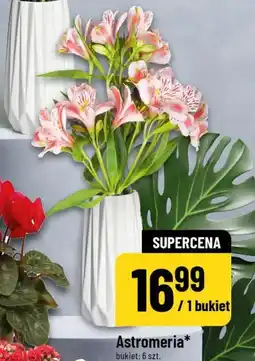 Polomarket Astromeria (bukiet 6 szt.) oferta