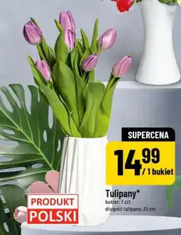 Polomarket Tulipany (bukiet) oferta
