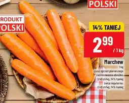 Polomarket Marchew oferta