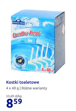 Action Kostki toaletowe oferta