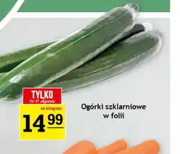 Gram Market Ogórki szklarniowe oferta